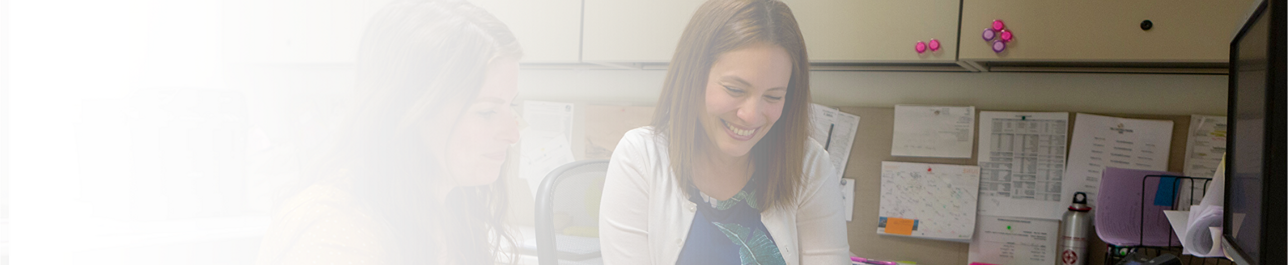 Social Work Header