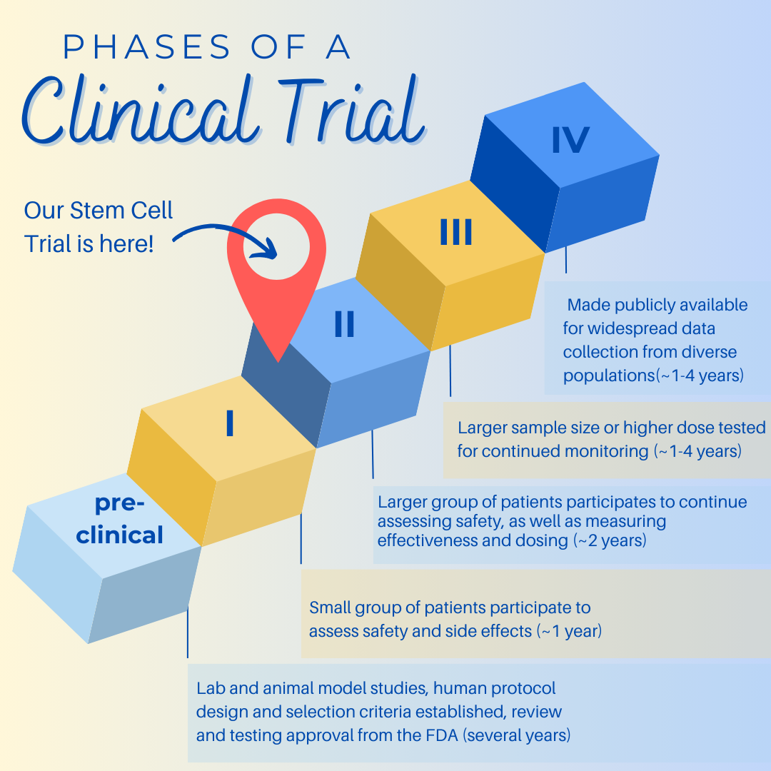A graphic explains clinical trial phases